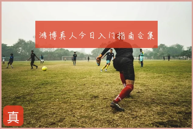 鸿博真人今日入门指南合集