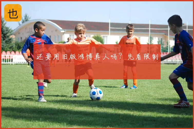 还要用旧版鸿博真人吗?先看限制