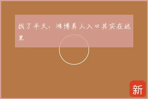 找了半天，鸿博真人入口其实在这里