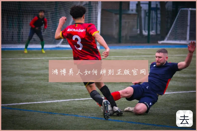 鸿博真人如何辨别正版官网