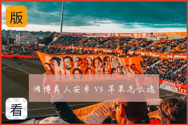 鸿博真人安卓 vs 苹果怎么选